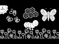 Black And White Baby Stimulation - Bees And Blossoms