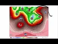 DayWeather Podcast 4 30 2026