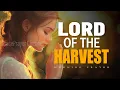 God Is Planting You for a Greater Harvest | Morning Prayer to Grow in Faith | Morning Prayer