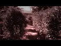 Winterfylleth - The Swart Raven