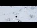 IBIZA WINTER MIX 2021 ❄️ SNOWBOARDING TROPICAL DEEP HOUSE ❄️ BEST OF TROPICAL DEEP HOUSE MUSIC #11