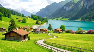 Sunrise Forest, Beautiful Relaxing Music, Peaceful Soothing Instrumental Music by Love YourSelf