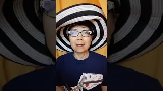 Storytime How I Got To ADR 