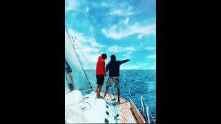 El Melouk Whatsapp Status Tiktok Viral Insta Viral Habibi Baaba Adharna Ahmed Saad Arabic Song 