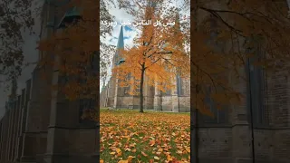 مش كل الناس خير وبركه والسبب هوه 