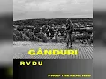 Lagu RVDU - GÂNDURI (Official Audio)