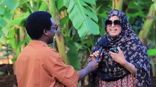 IDIL Ayruush Ahmed Budul Muxiyediin Shaahid Iyo Xasan O Hadiyad Cajiib Ah Gaadhsiyay Gobolka Cusub 