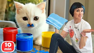 Как котёнок Кефир испачкался краской и как он гулял у воды. Две истории подряд!