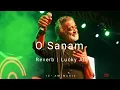 Lagu O Sanam Lofi Remake | Gori Teri aankhe kahe | Lucky ali | Sr lyrics DRJ 