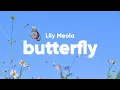 Download Lagu Lily Meola - Butterfly (Lyrics)