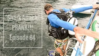 Shark Attack PRANK Episode 84 (Sailing Catalpa)