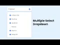 Multiple Select Dropdown With Checkbox Using HTML CSS and JavaScript
