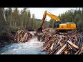 BEST BEAVER DAM REMOVAL EVER Best Compilation 2025