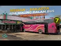 Lagu Trip Report - 7 | Menelusuri Hutan Gelap Sumatera Ada Maling Di Dalam Bus ⁉️