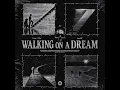 Walking On A Dream (Techno)