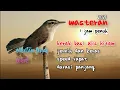 Download Lagu masteran kerak basi ALIS HITAM||terbaru 2021, ada jedanya!
