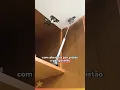 Vídeo do produto
