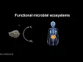 Lagu CCSS Meeting #74: Learning microbiome design principles from natural variation