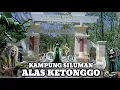 Download Lagu Ngeri !! Misteri Kampung Siluman Alas Srigati Ketonggo Ngawi