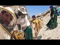 Download Lagu **The Dangerous Adventure: Ali and Pari in Search of Bee Honey**