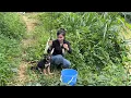 Download Lagu Fishing with a little dog, selling vegetables, eggs, and bamboo shoots – a simple countryside life