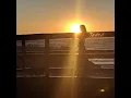 The Silence (Acoustic)