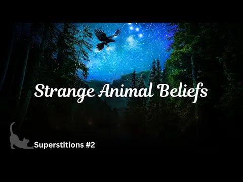 Animal Superstitions You Won’t Believe - Intermedio Input comprensible en inglés - Ep. 2