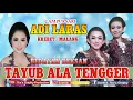 Download Lagu Tayub ala Tengger ADI LARAS MALAng