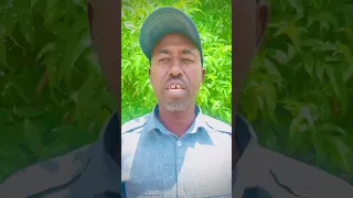 Buurmadow Fashilka Siyaaiyiinta Beeshisa Ayuu Ku Qarinayaa Cayda Beesha H.Awal