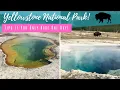 Yellowstone National Park Tips If You Only Have One Day