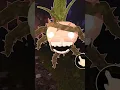 Lagu How to Survive a Mandrake #robloxsdoors #gaming #horror #roblox #robloxdoors #outdoors