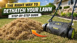 Complete Dethatching Guide Transform Your Lawn in 1 DAY With Sun Joe Dethatcher and Scarifier