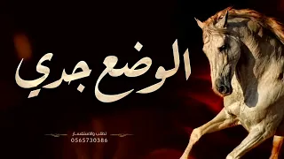 شيلة الوضع جدي   أداء قايد الويبري شيلات حماسية بدون حقوق       دندنها