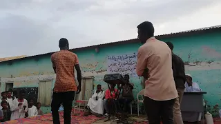 الفنان مازن بيتر 