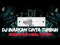 Download Lagu DJ BIARKAN CINTA TUMBUH SEBISANYA || DJ JEDAG JEDUG MENGKANE VIRAL TIKTOK 2023