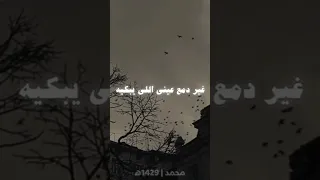 وجه اليوم الي اشوفك فيه واقف مكسور بتندهلي Share اكسبلور 