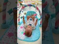 Download Lagu Baby Play Gym Baby Mat with Music and Lights