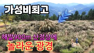 지금 바로 달려가세요! 해발 900m 자동차로 편하게 올라 무료로 하늘과 맞닿은 보라색 바다에 빠져보세요! 썸네일