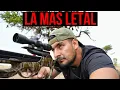 THE MOST DANGEROUS LEGAL WEAPON - BARNETT STALKER 380 CROSSBOW Chapter 2