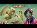 Download Lagu Mối Nguy Hiểm Khi Lặn Biển Là Những Con Sứa Rất Độc | Cảnh 86