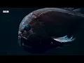 Incredible Natural World Wonders - Narrated by Sir David Attenborough | BBC Earth