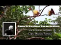Download Lagu Sama Si Kwalisan Fanan Anakwa_vidio_lirik