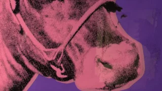 WARHOL Andy Cow 1976 Peter Harrington