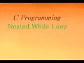 nested while loop in c