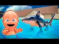 Download Lagu Baby Floods TRALALERO TRALALA'S HOUSE!