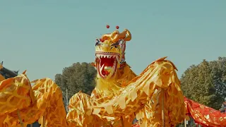 2026年全新创作贺岁歌曲 马上发财 作词 视频 赵善焜 