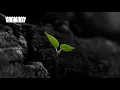 BONES - ItsTheLittleThings SLOWED TO PERFECTION Its The Little Things