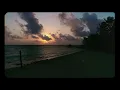 Kygo - Freedom w/ Zak Abel (Official Audio)
