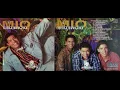 Diomedes Grupo Mio | Una Chica Bien (Una Chica Good) (1995)