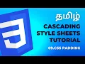 CSS Padding Cascading Style Sheets Tutorial